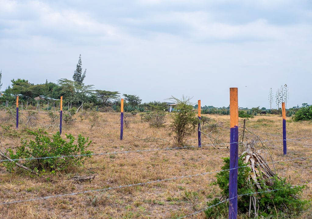 plots-for-sale-along-kangundo-road (4)