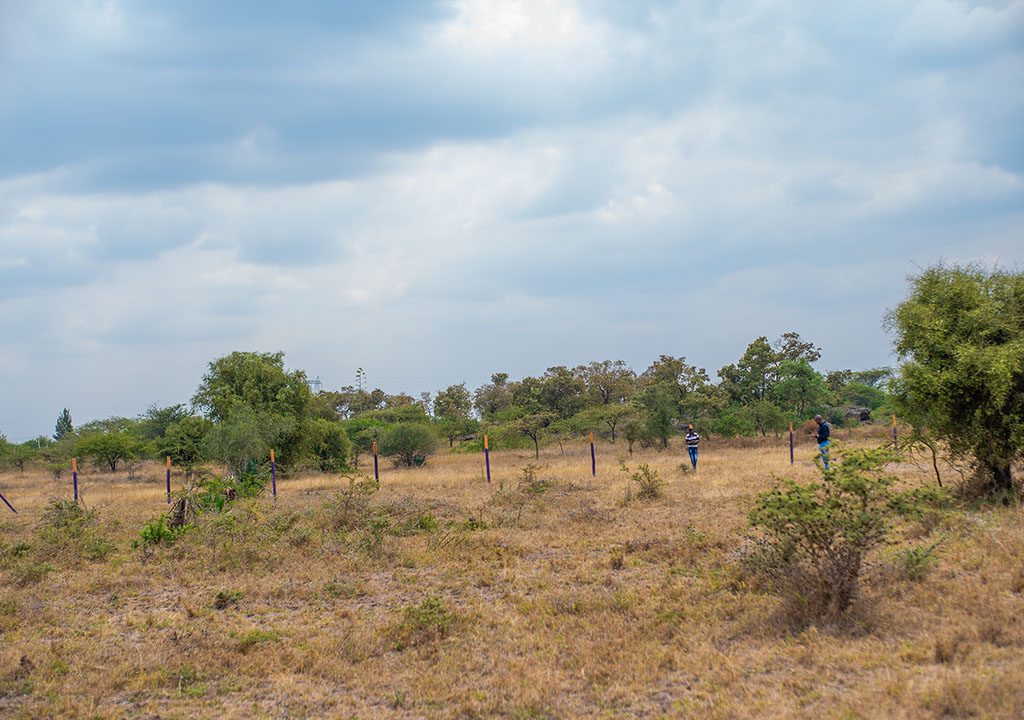 plots-for-sale-along-kangundo-road (7)